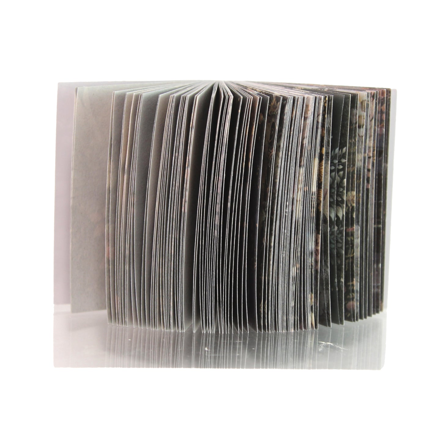 Archive Vol. 012 - Butterfly Nocturne | Mini Library