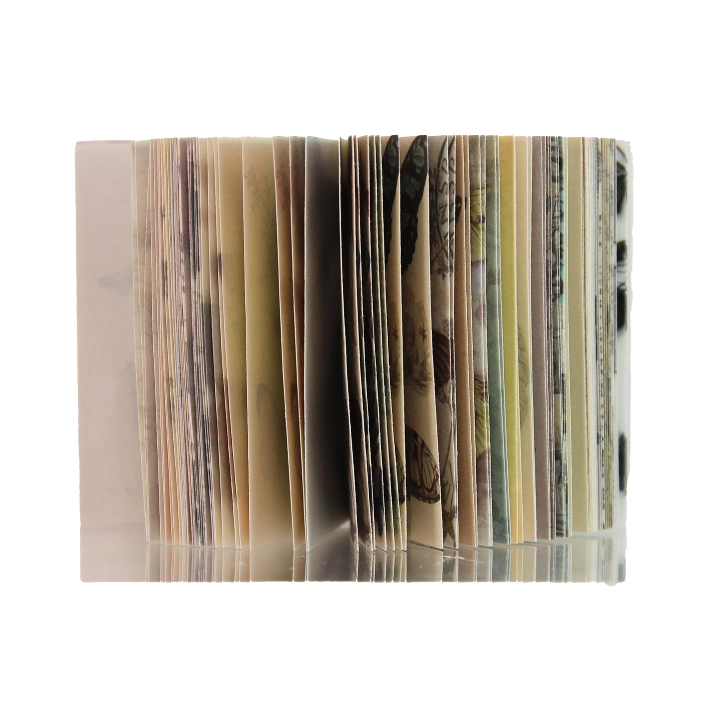 Archive Vol. 003 - Butterfly | Mini Library