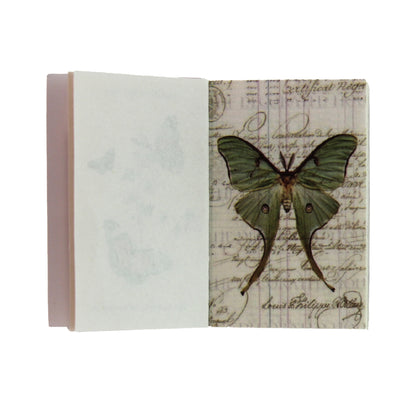 Archive Vol. 003 - Butterfly | Mini Library