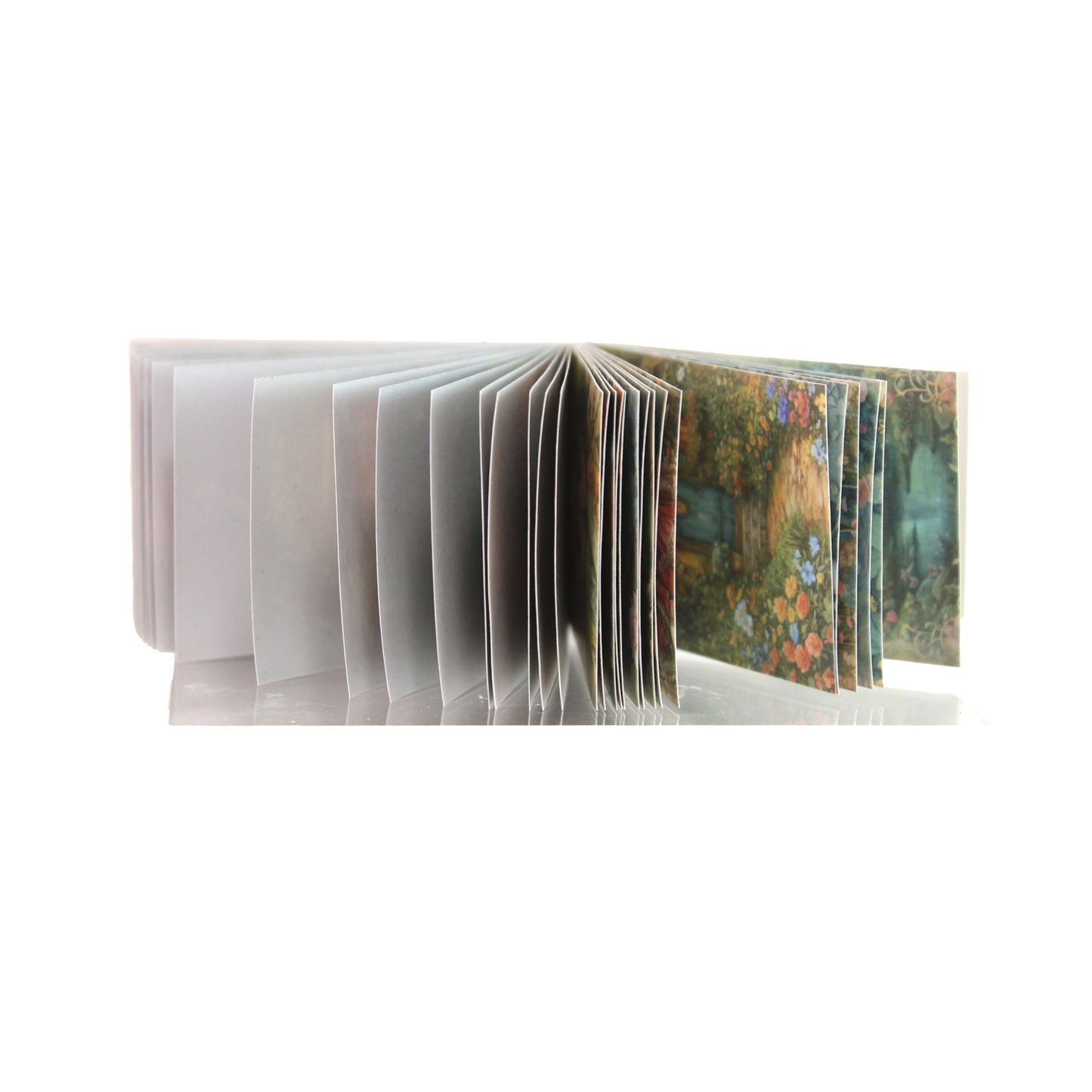 Archive Vol. 025 - Forest Fairies | Mini Library