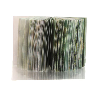 Archive Vol. 011 - Green Forest Cabin | Mini Library