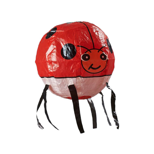 Ladybug Fairy Friend
