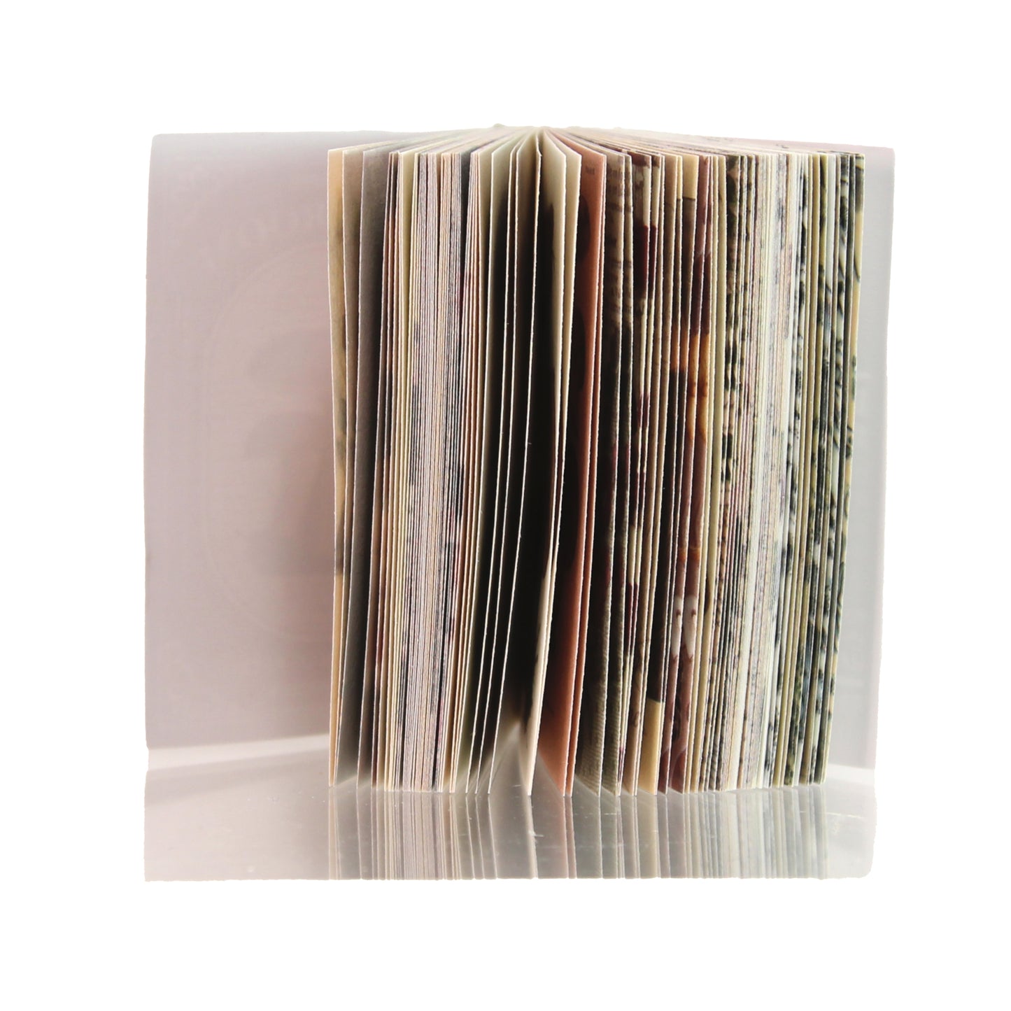 Archive Vol. 005 - Mushroom | Mini Library
