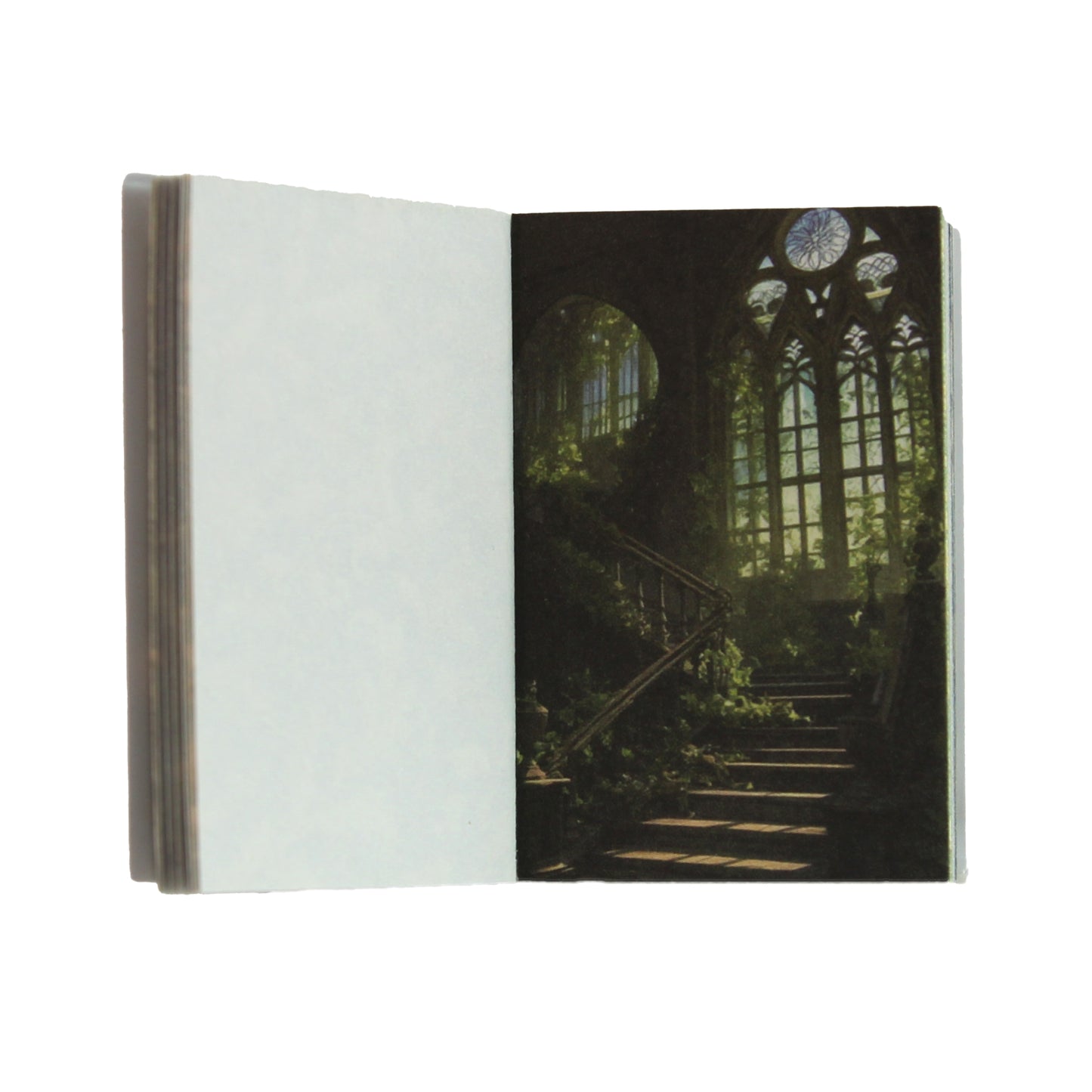 Archive Vol. 016 - Wilderness Fantasy | Mini Library